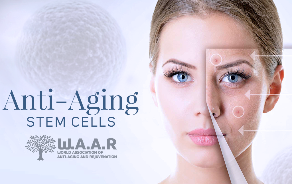 The World Association of Anti-Aging and Rejuvenation, an age management center in USA and Canada, on anti-aging stem cells.